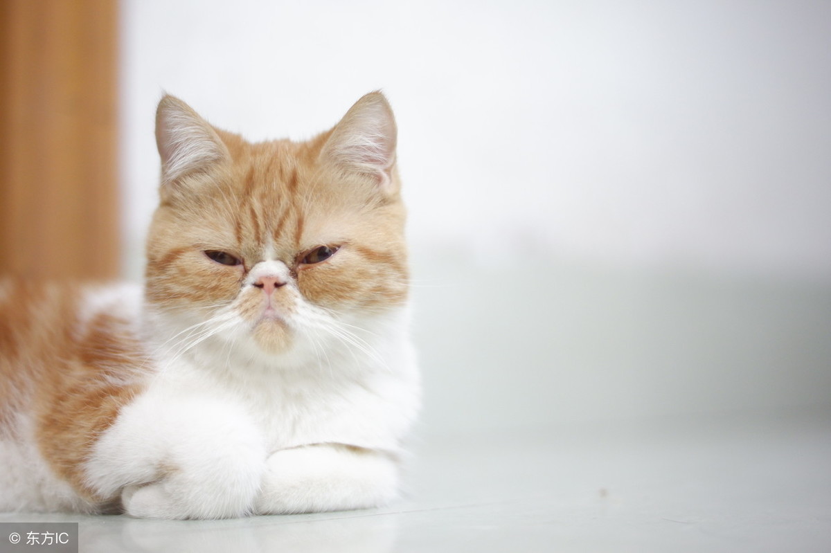 雙十一已過，阿里的服務(wù)器你還好嗎？ 